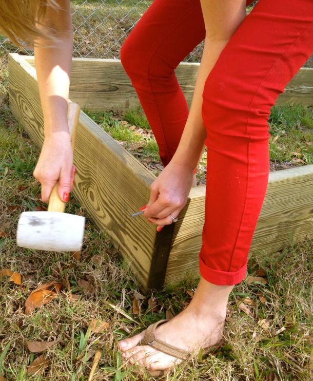 how to build a raised bed
